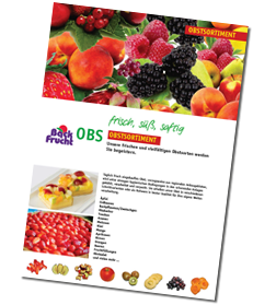 BF Infoblatt obst